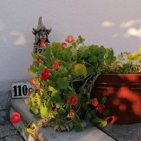 Kaethes Sommerhaus Schöna Εξωτερικό φωτογραφία